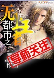 《都市之无上王者》