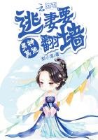 《男神莫追:逃妻要翻墙》