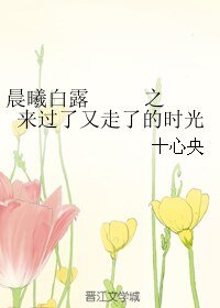 《晨曦白露之来过了又走了的时光》