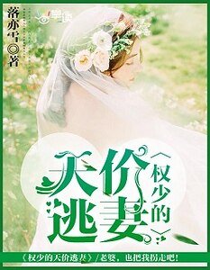 《权少的天价逃妻》