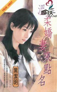 《温柔娇妻来点名(City Hunter系列)》