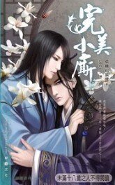 完美小厮(出书版)