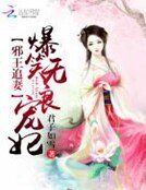 邪王追妻:爆笑无良宠妃