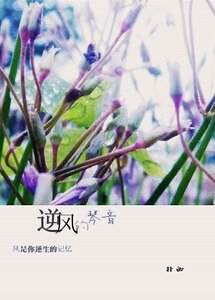 逆风的琴音