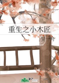 《重生之小木匠》