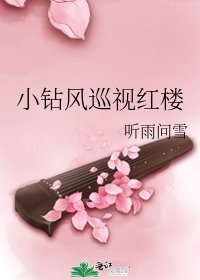 (BG/红楼梦同人)小钻风巡视红楼