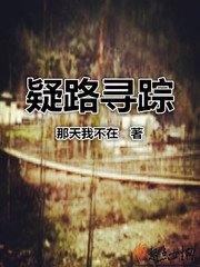 《疑路寻踪》