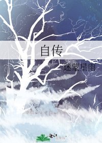 自传