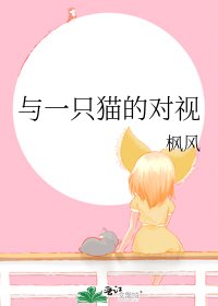与一只猫的对视