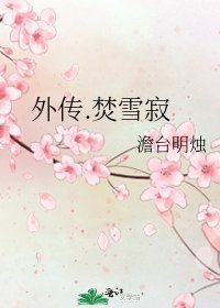 外传.焚雪寂