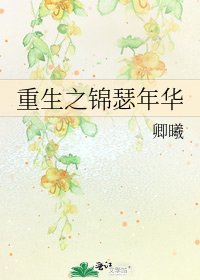 重生之锦瑟年华