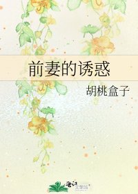 《前妻的诱惑》