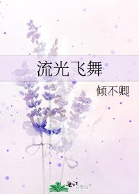 《流光飞舞》