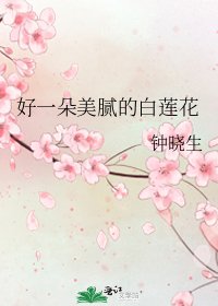 《好一朵美腻的白莲花》