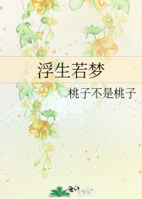 《浮生若梦》