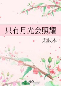 只有月光会照耀