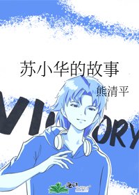 《苏小华的故事》