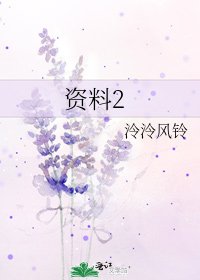 《资料2》