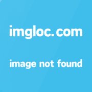 《兔兔与翻矢保镖的像鬼泄常》