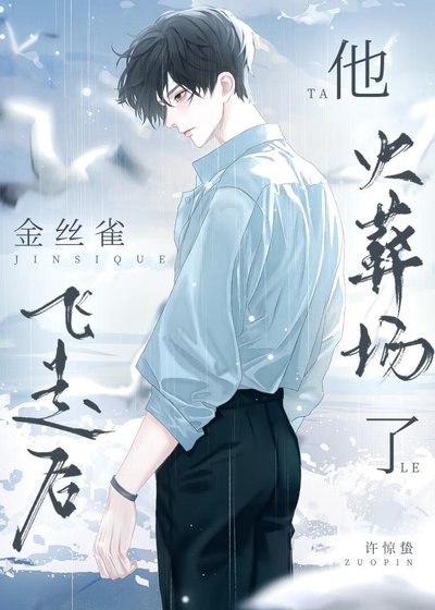 《金丝雀飞走后他火葬场了》