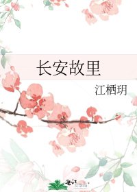 《长安故里》